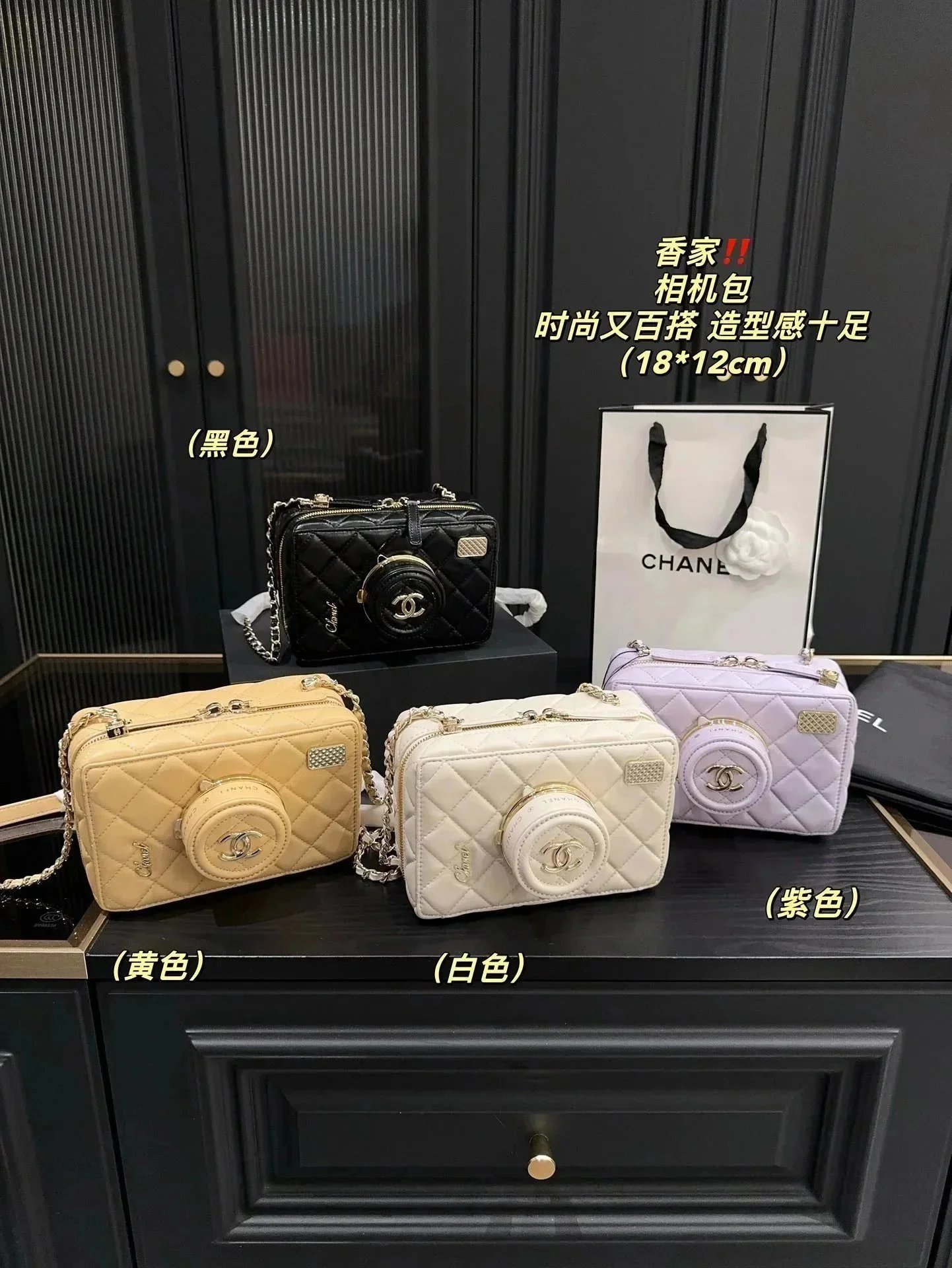 Chanel Limited Edition Camera Bag