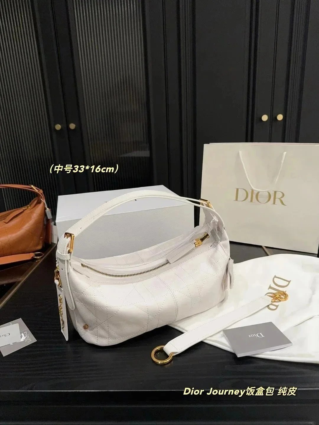 Dior D Journey hobo Handbag